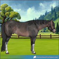 Horse Color:Platinum White Spotted Brown
