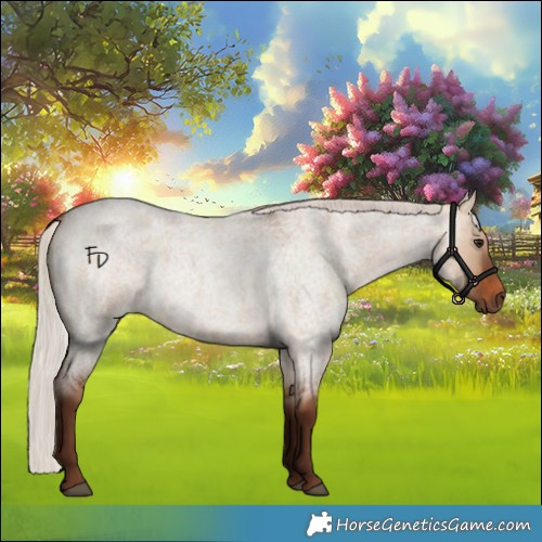 Horse Color:Silver Bay Roan Dun 