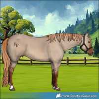 Horse Color:Red Dun 