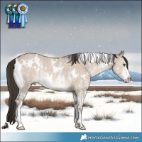 Horse Color:White Spotted Liver Red Dun Sabino Rabicano