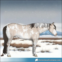 Horse Color:White Spotted Liver Red Dun Sabino Rabicano 