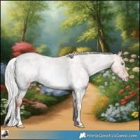 Horse Color:White Spotted Silver Sable Champagne Roan Dun Appaloosa Rabicano 