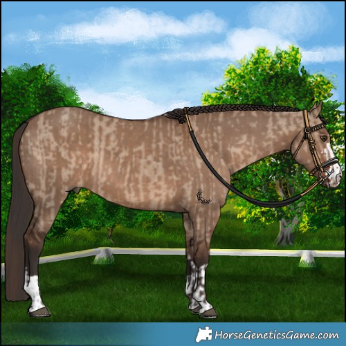 Horse Color:Liver Red Dun  and Liver Red Dun 