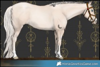 Horse Color:Gold Cream Champagne Pearl 