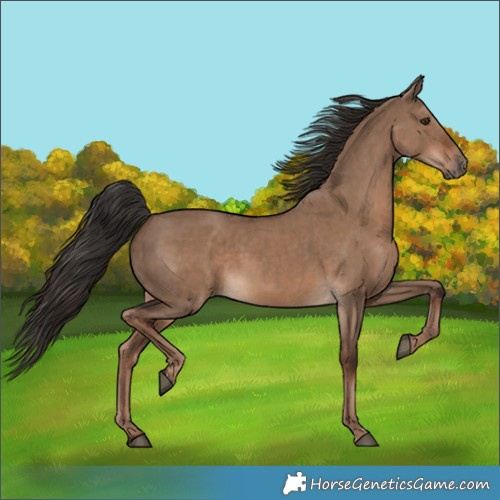 Horse Color:Liver Red Dun  and Liver Red Dun 