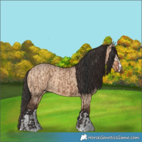 Horse Color:Liver Red Dun  and Bay Dun 