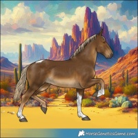 Horse Color:Chocolate Palomino Tobiano 