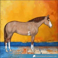 Horse Color:Liver Red Dun  and Red Dun 