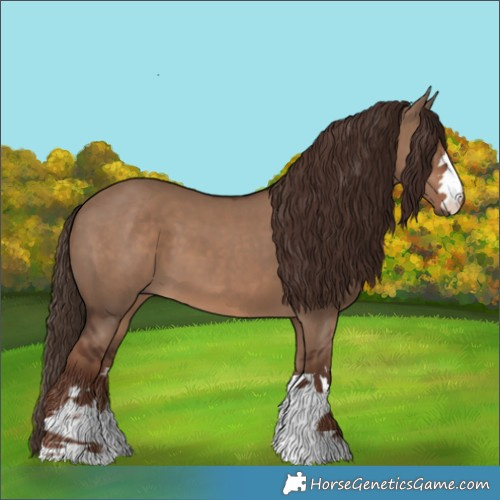 Horse Color:Liver Red Dun  and Liver Red Dun 