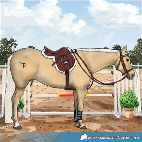 Horse Color:Palomino 