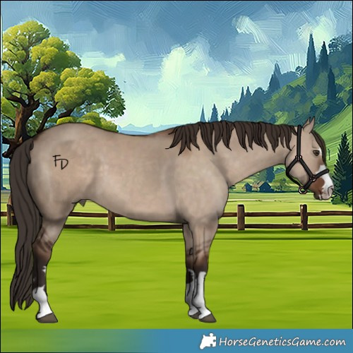 Horse Color:Liver Red Dun  and Liver Red Dun 