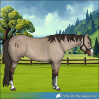 Horse Color:Liver Red Dun  and Liver Red Dun 