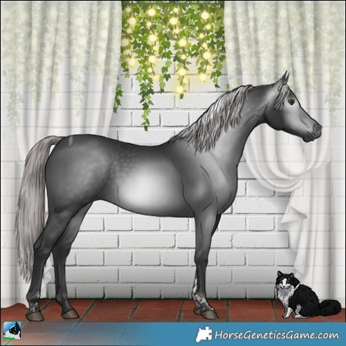 Horse Color:Gray Platinum Liver Chestnut Tobiano Rabicano 
