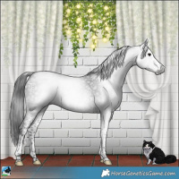 Horse Color:Gray Platinum White Spotted Brown Splash Tobiano 