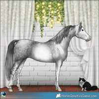 Horse Color:Gray Platinum White Spotted Brown Splash Tobiano