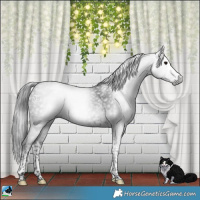 Horse Color:Gray Platinum Brown Splash Tobiano Rabicano 