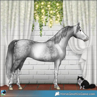 Horse Color:Gray Platinum Brown Splash Tobiano Rabicano 