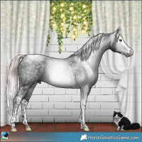 Horse Color:Gray Platinum Liver Chestnut Splash Tobiano 