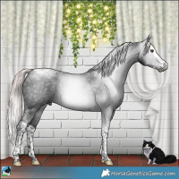 Horse Color:Gray Platinum Liver Chestnut Splash Tobiano 