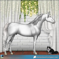 Horse Color:Gray Platinum Liver Chestnut Splash Tobiano