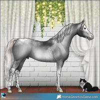 Horse Color:Gray Platinum Liver Chestnut Splash Tobiano