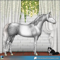 Horse Color:Gray Platinum Liver Chestnut Splash Tobiano 