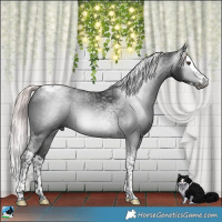 Horse Color:Gray Platinum Liver Chestnut Splash Tobiano