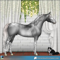 Horse Color:Gray Platinum Liver Chestnut Splash Tobiano