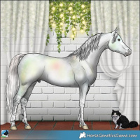 Horse Color:Gray Platinum Liver Chestnut Splash Tobiano