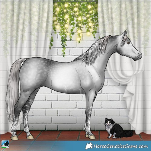 Horse Color:Gray Platinum White Spotted Liver Chestnut Tobiano