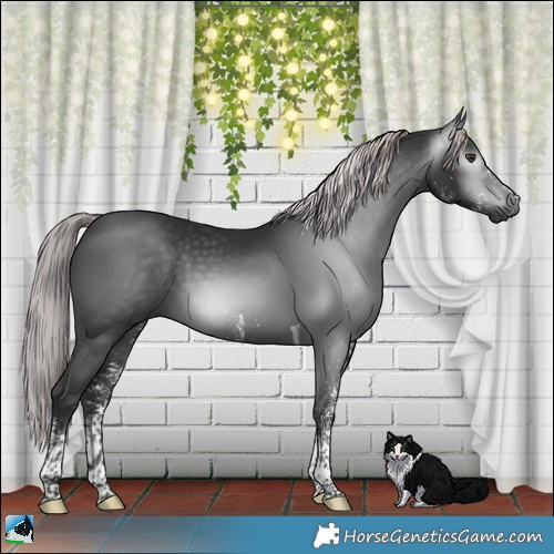 Horse Color:Gray Platinum White Spotted Liver Chestnut Tobiano 