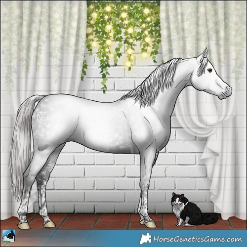 Horse Color:Gray Platinum White Spotted Liver Chestnut Tobiano