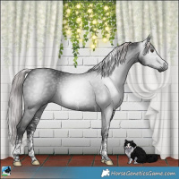 Horse Color:Gray Platinum White Spotted Liver Chestnut Tobiano 