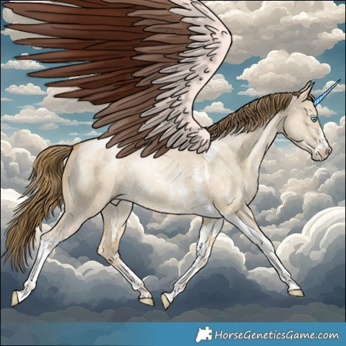 Horse Color:Buckskin Pearl Dun Sabino Tobiano