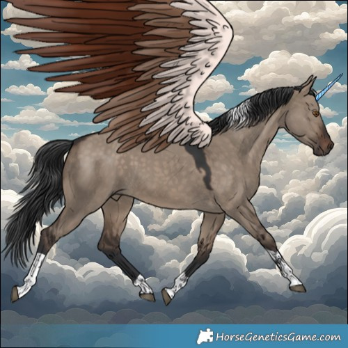 Horse Color:Brown Dun Tobiano 