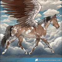 Horse Color:White Spotted Liver Red Dun Rabicano 
