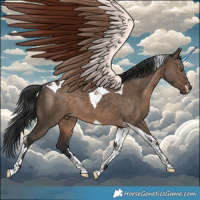 Horse Color:Brown Dun Tobiano Rabicano 