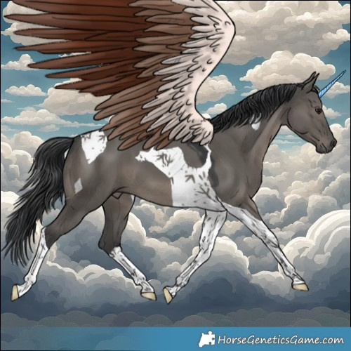 Horse Color:Grullo Tobiano 