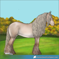 Horse Color:Liver Red Dun Pearl Mushroom Rabicano