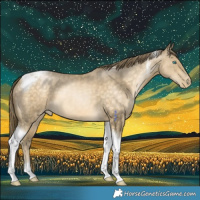 Horse Color:Buckskin Pearl Tobiano