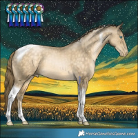 Horse Color:Buckskin Pearl Tobiano