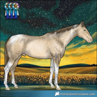Horse Color:Buckskin Pearl Tobiano 