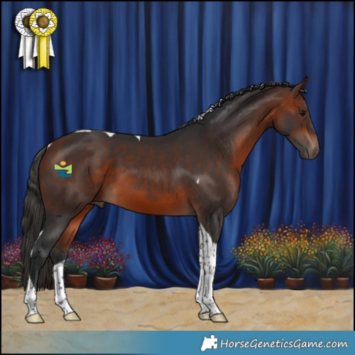 Horse Color:Bay Tobiano 