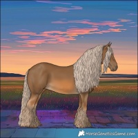 Horse Color:Chocolate Palomino 