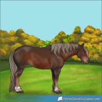 Horse Color:Liver Chestnut  and Liver Chestnut 