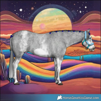 Horse Color:White Spotted Blue Roan Splash Frame Appaloosa