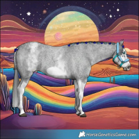 Horse Color:White Spotted Blue Roan Splash Frame Appaloosa 