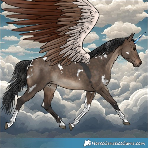 Horse Color:White Spotted Brown Dun Tobiano 