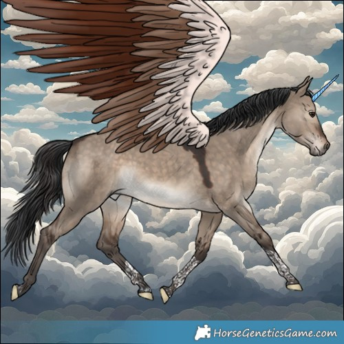 Horse Color:Brown Dun Tobiano Rabicano 