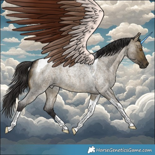 Horse Color:Buckskin Roan Dun Tobiano 